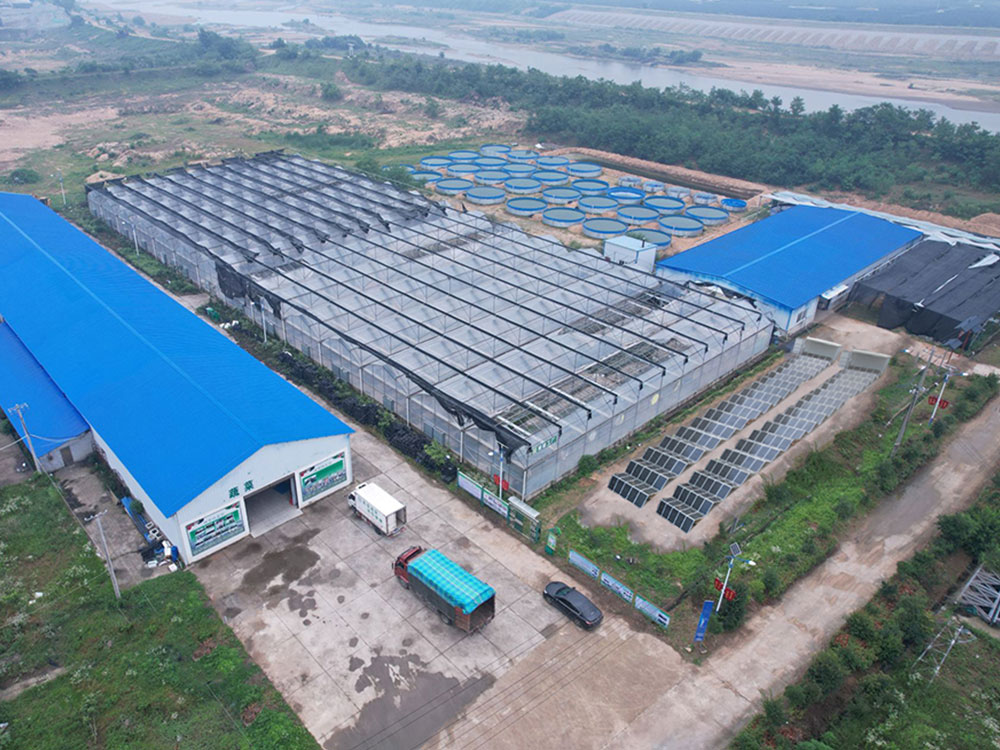 Solar Power Containers for Självförsörjande strömförsörjning